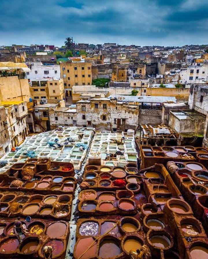 Day 2 : Chefchaouen – Volubilis – Meknes – Fez