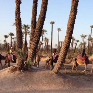 camel-ride-morocco11 - Copie