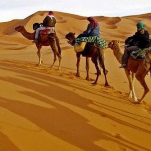camel-ride-morocco6 - Copie