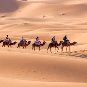 camel-ride-morocco7 - Copie