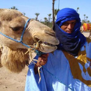 camel-ride-morocco9 - Copie